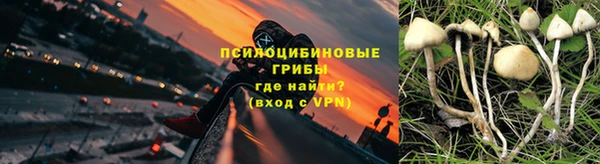 прущие крисы Алексин