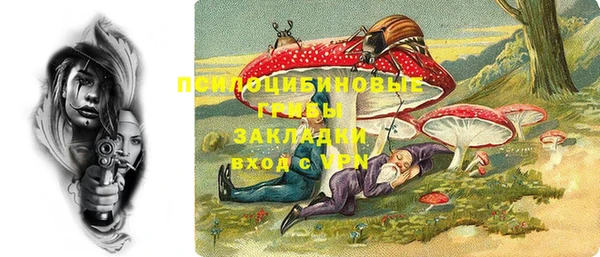 прущие крисы Алексин