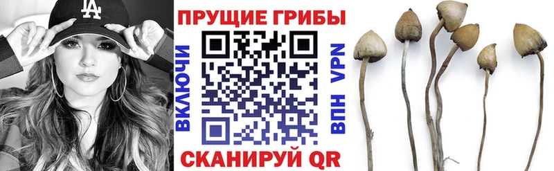 Псилоцибиновые грибы MAGIC MUSHROOMS ОМГ ОМГ сайт Орёл купить наркоту